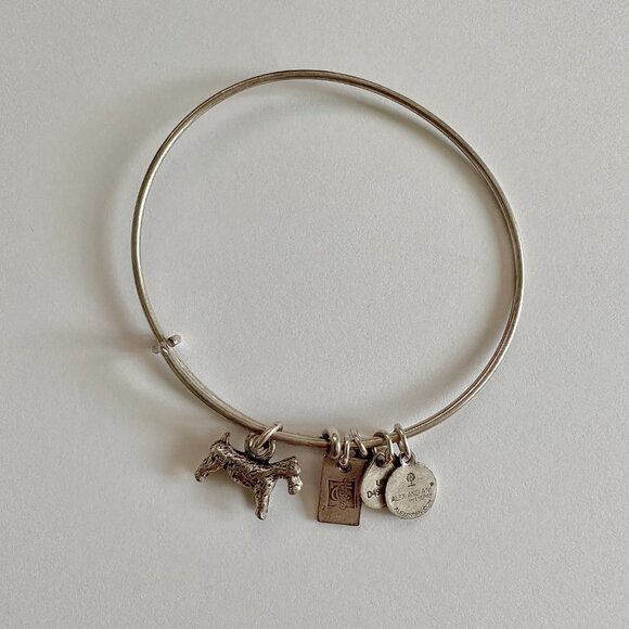 Alex and Ani bracelet Charm Bangle  Bundle of 6 - Picture 6 of 12